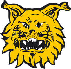TPS土尔库